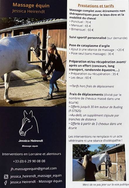 Massage équin et bien-être Lorraine et alentours