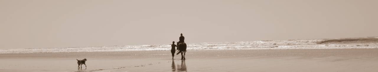 Recherche stage 16-24-87