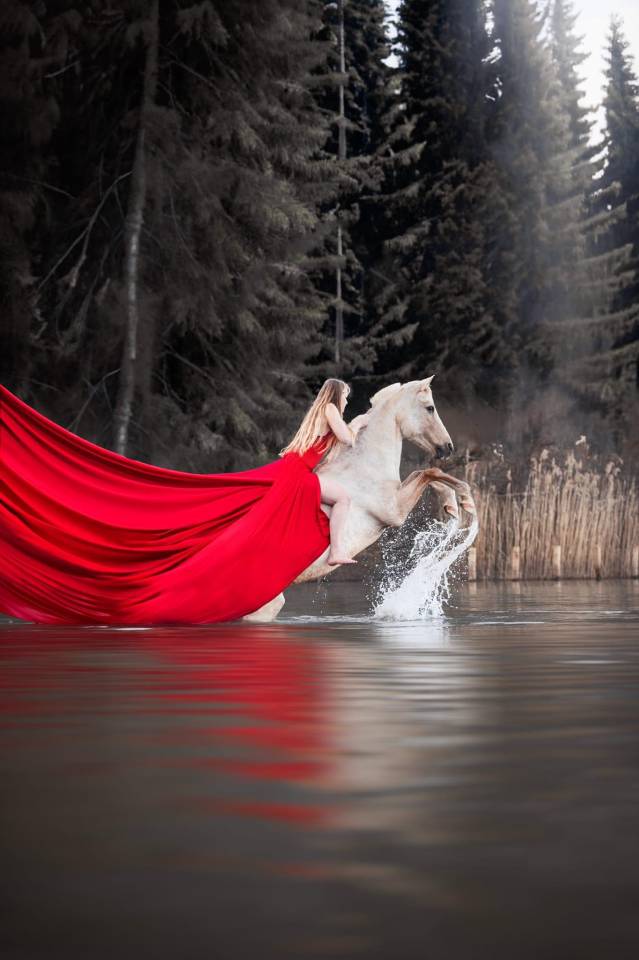 Poney français de selle 