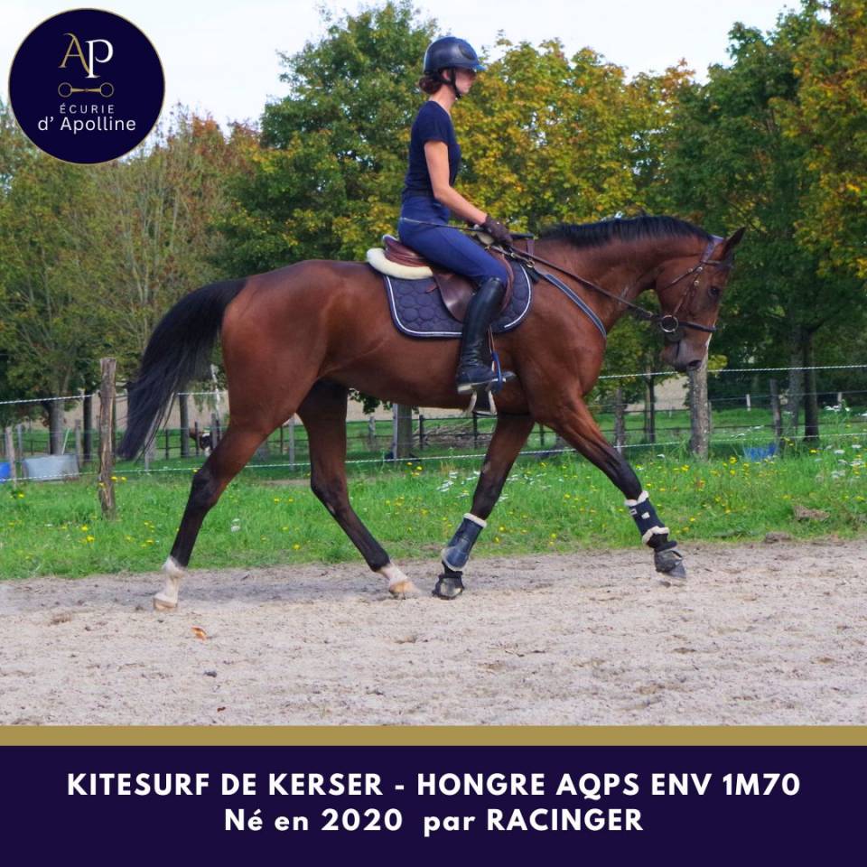 AQPS 5 ans env 1m70 bon mental