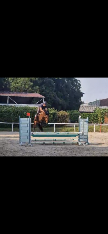 Little Ponette de 4 ans 