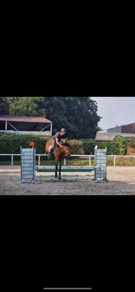 Little Ponette de 4 ans 