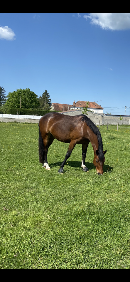 Little Ponette de 4 ans 