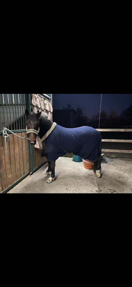 Little Ponette de 4 ans 