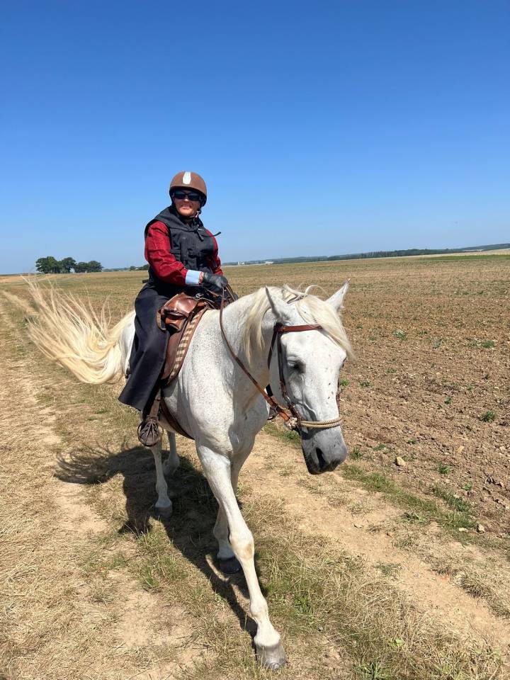 Chulo,  PRE plein papier, entier 