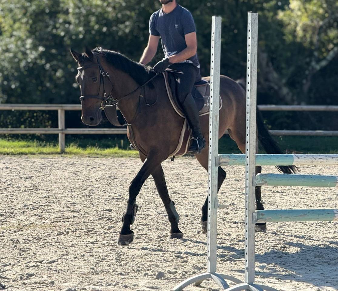 SF 7 ans moyen 130-135