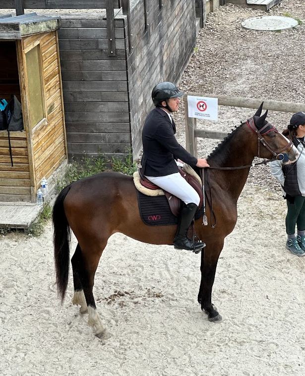 LOVERBOY MAIL / Hongre / 4 ans 