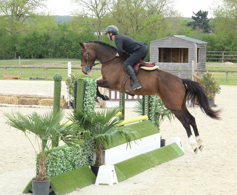 LOVERBOY MAIL / Hongre / 4 ans 