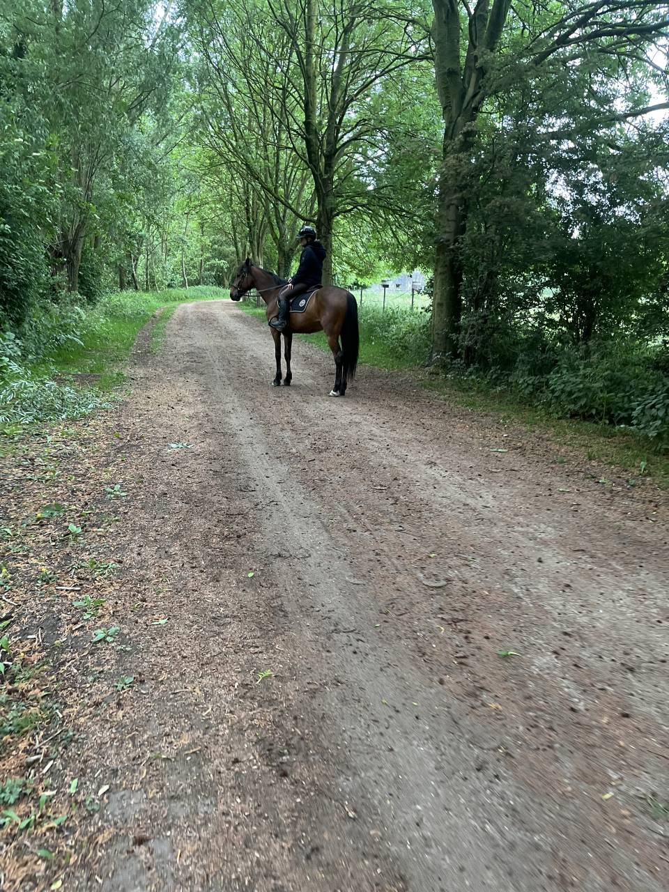 TF 8 ans à vendre 5000€ négo OK (vidéos ds l'annonce)