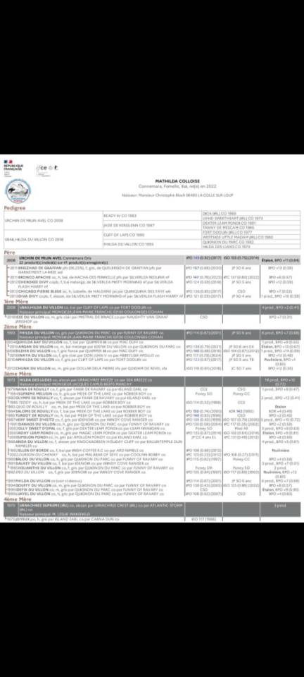 Fem, Connemara, baie, 3 ans 