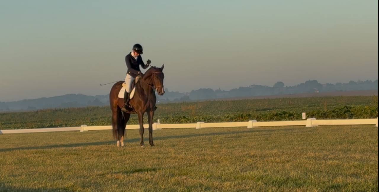 Preston super hongre pour cce