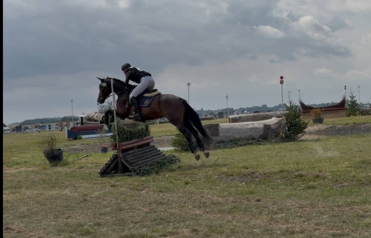 Preston super hongre pour cce