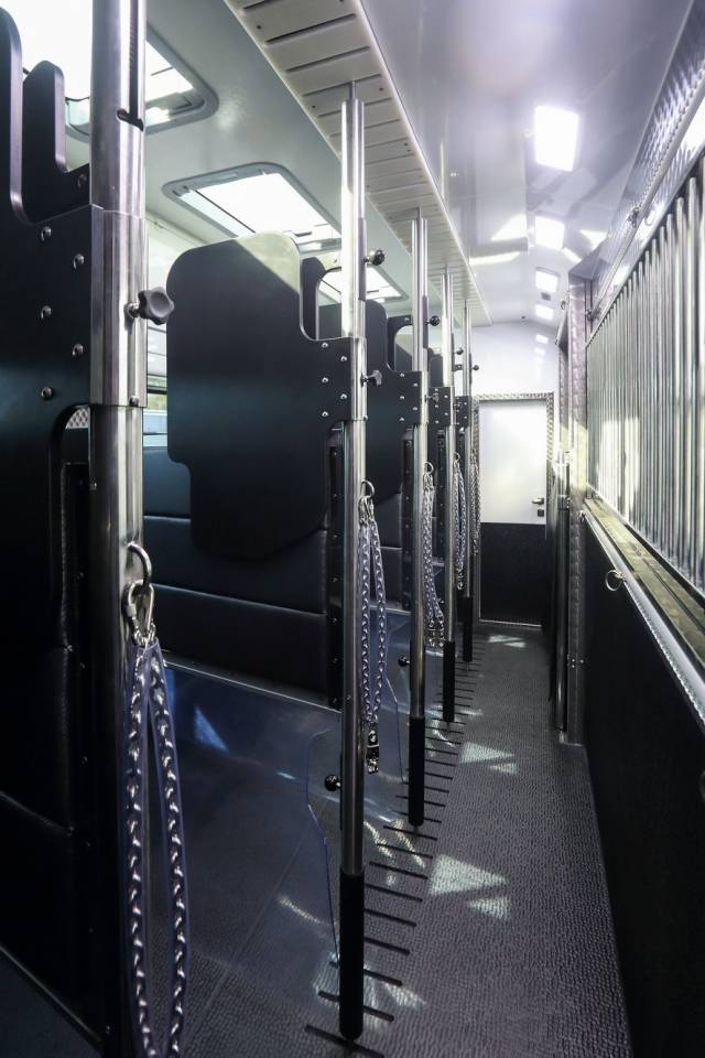 SCANIA P420 INTERHORSE