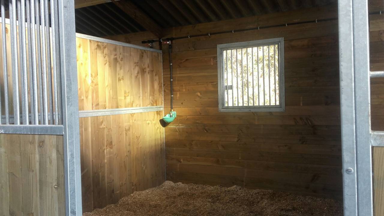 Pension chevaux Ecurie Dressage