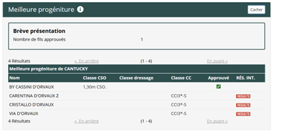 Top Cheval amateur potentiel 130-135
