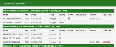 Top Cheval amateur potentiel 130-135