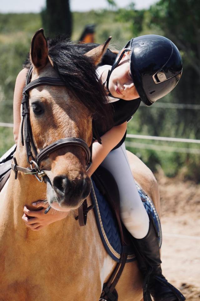 Poney C - WELSH Part Bred 