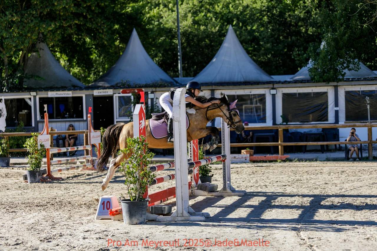 Poney C - WELSH Part Bred 