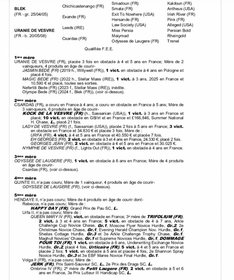 Pouliche yearling AQPS 