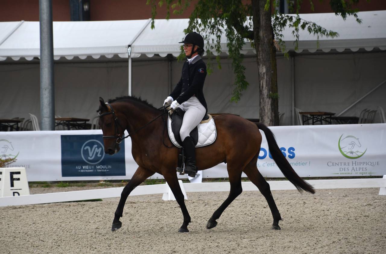 Top poney dressage cheval