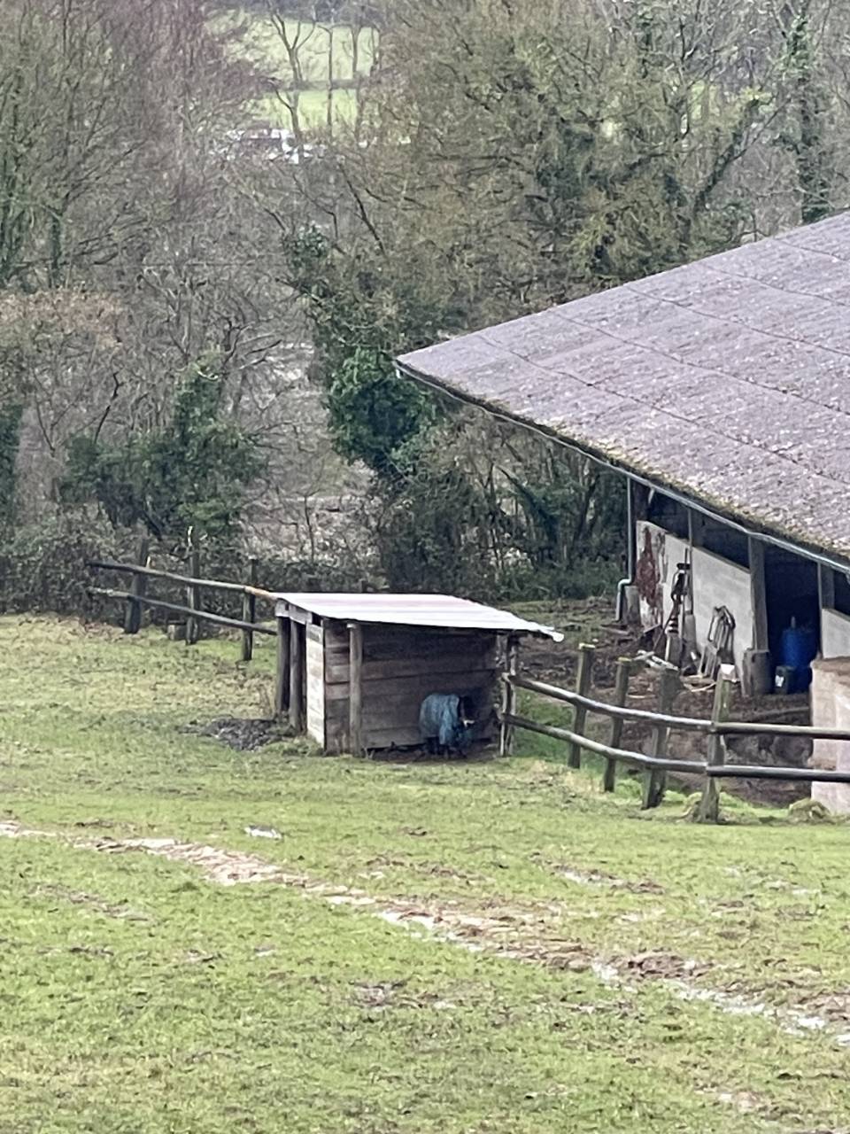 Pension retraite shetlands Calvados 10 min Cabourg 