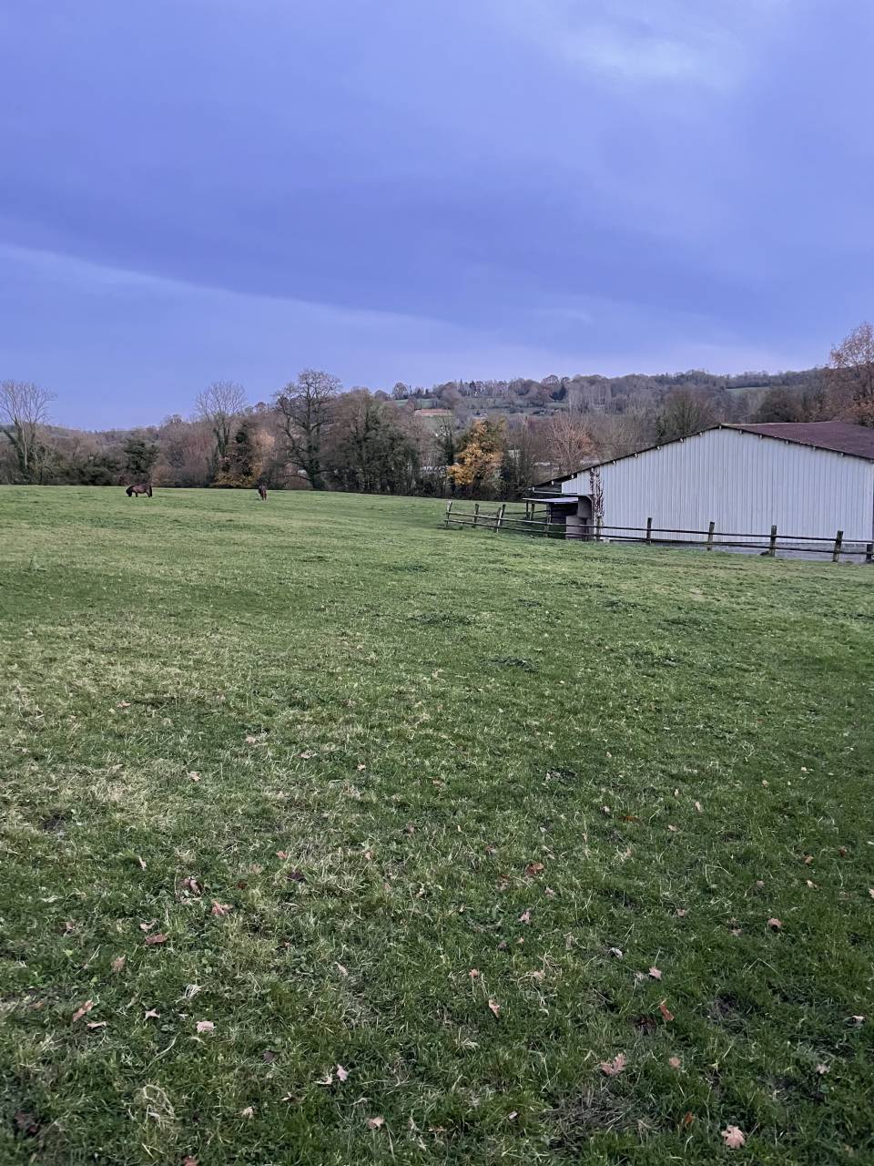 Pension retraite shetlands Calvados 10 min Cabourg 