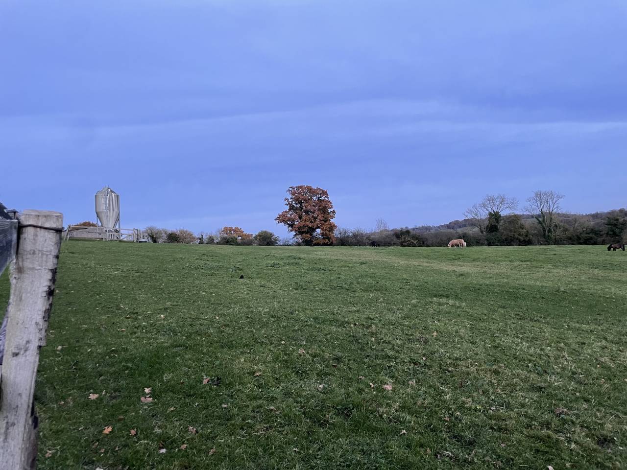 Pension retraite shetlands Calvados 10 min Cabourg 