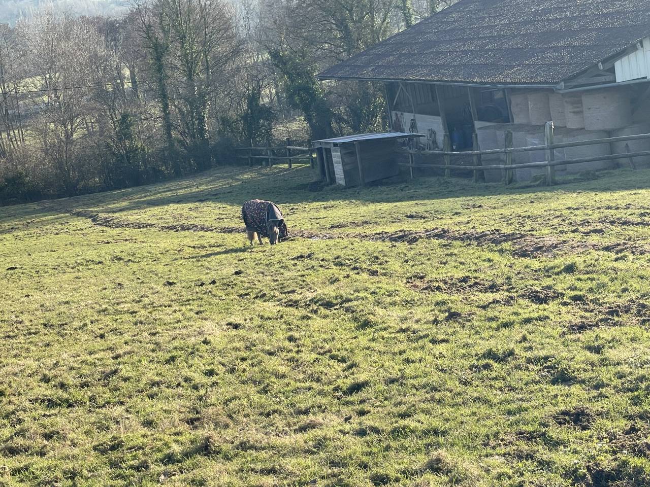 Pension retraite shetlands Calvados 10 min Cabourg 