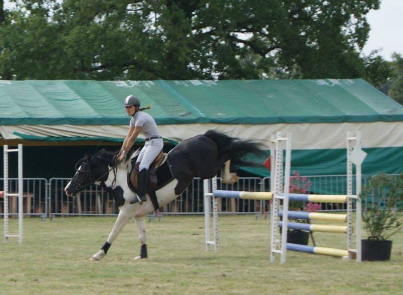 &eacute;talon wpb maitre d'&eacute;cole concours et agr&eacute;&eacute; pour repro