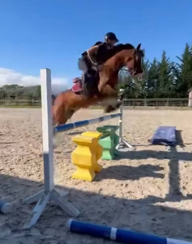 DP ou pension complète sur psa 