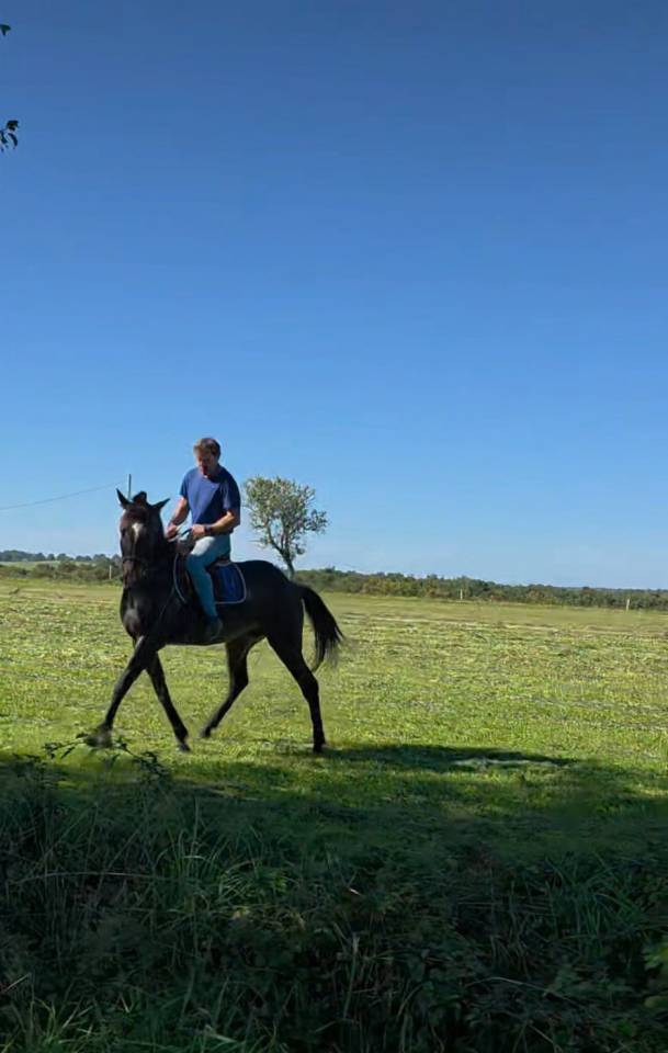 Cheval de randonnée et dressage 
