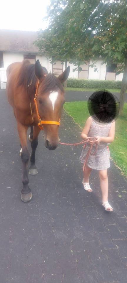 Cheval à vendre (urgence boucherie ) 
