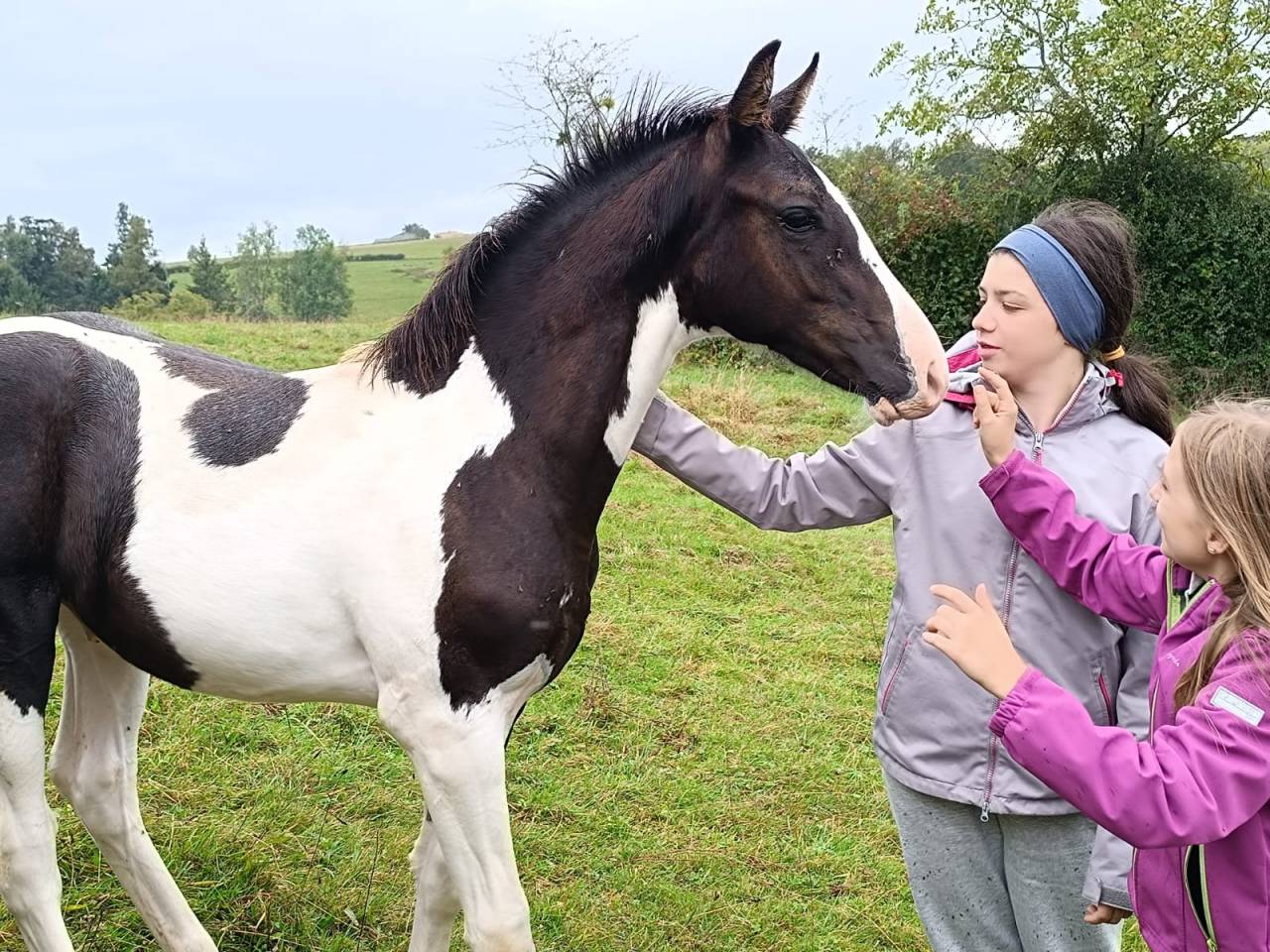 Poulinière ONC origine Paint pleine Paint horse