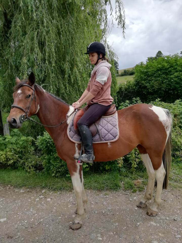 Poulinière ONC origine Paint pleine Paint horse