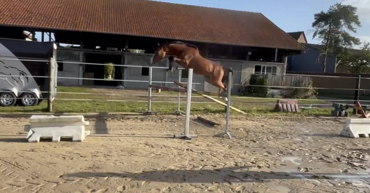 Noble cœur folie, entier SFO