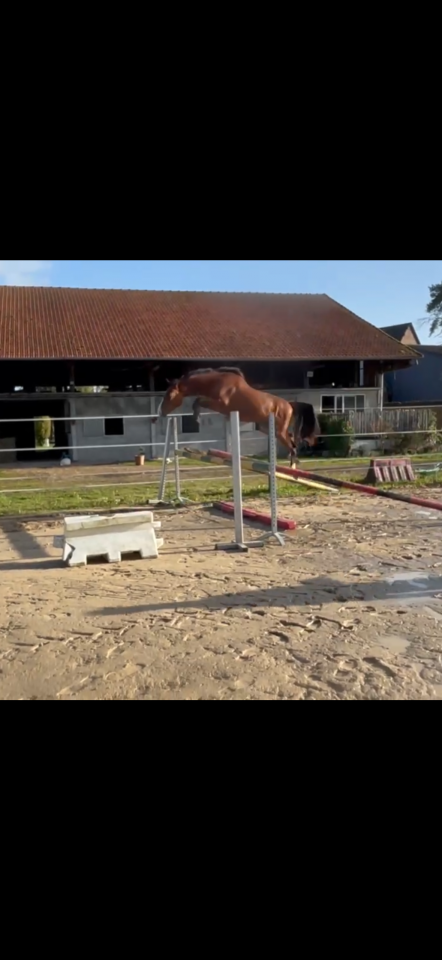 Noble cœur folie, entier SFO