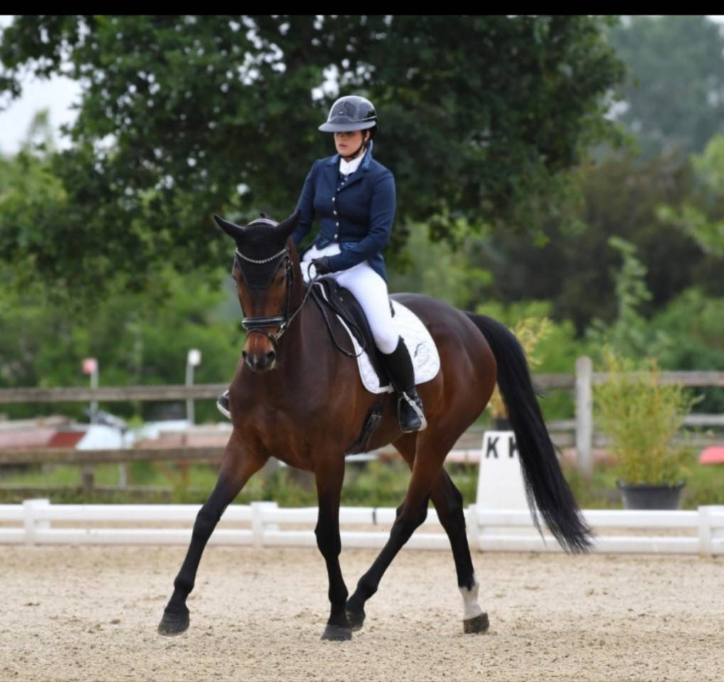 Jument d'avenir 4 ans SF Opportunite pour vente rapide