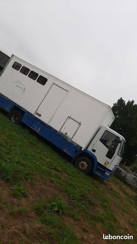 camion chevaux
