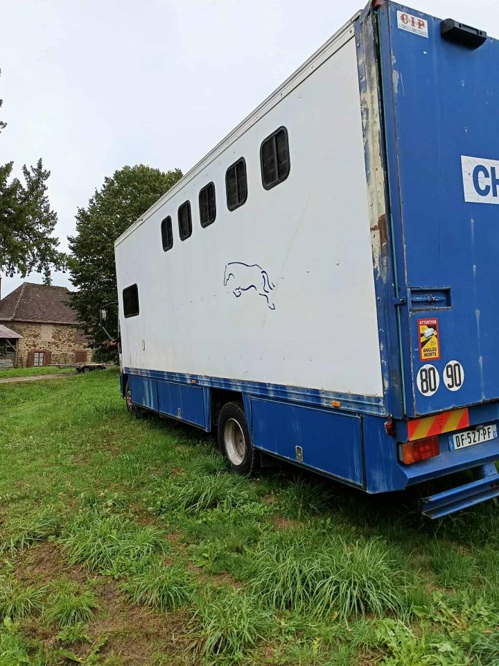 camion chevaux