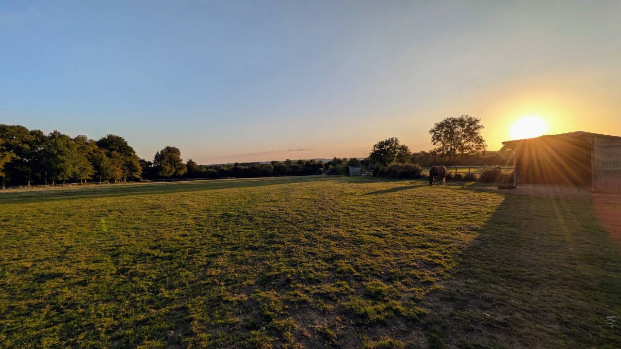 971114_1760210187_4755.jpg