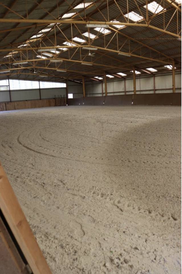 Pension chevaux - haras de peumochat (Chaillac)