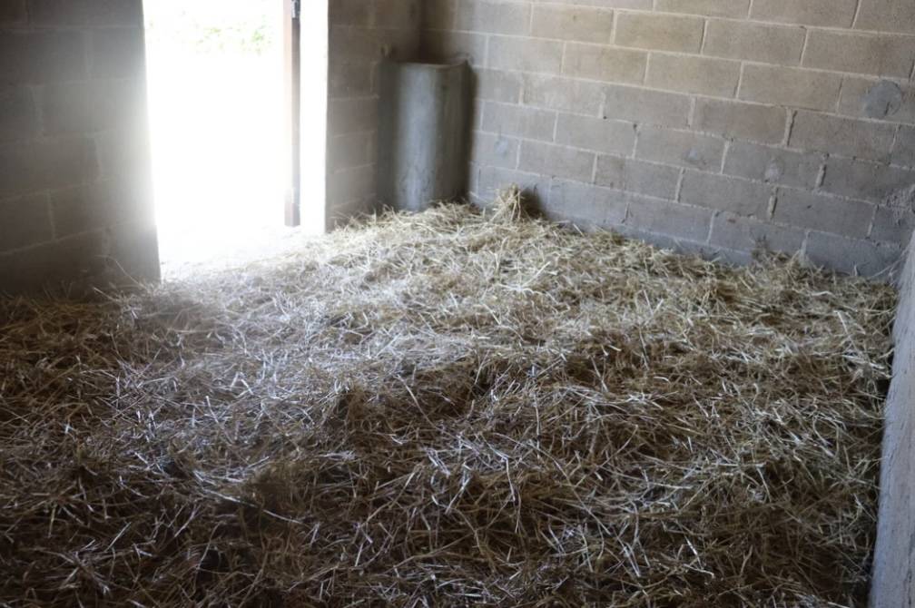 Pension chevaux - haras de peumochat (Chaillac)