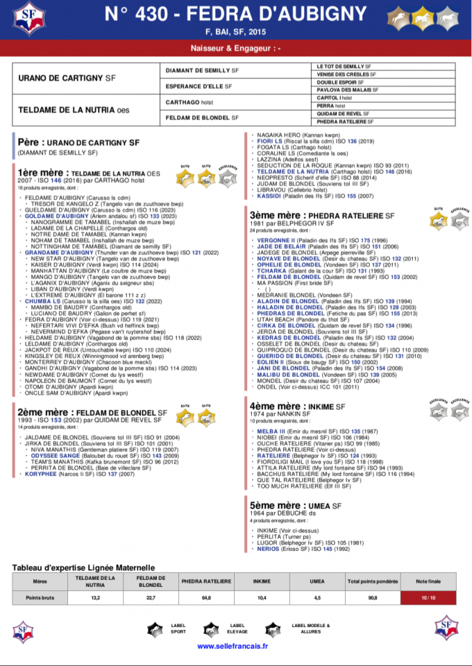 Poulain Selle Français, lignée 10/10