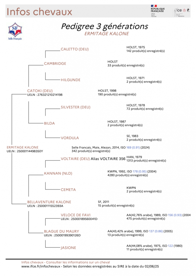 Poulain Selle Français, lignée 10/10
