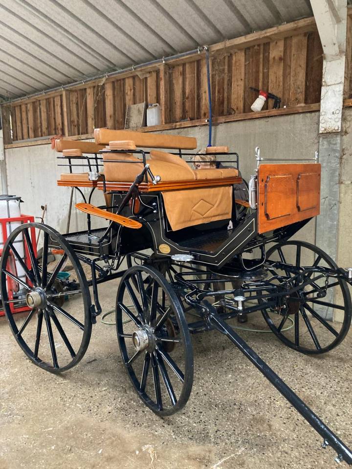 Spider 1/2 chevaux à vendre 