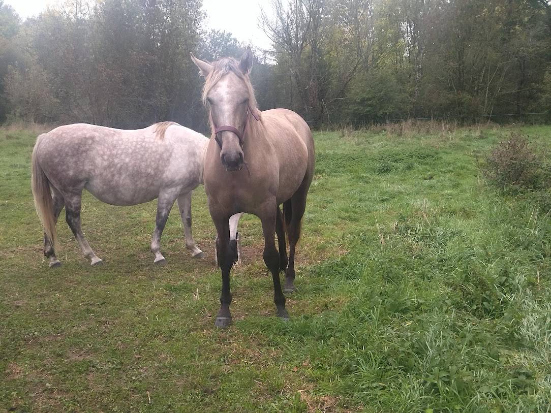 OPALE de SERMENTOL OC