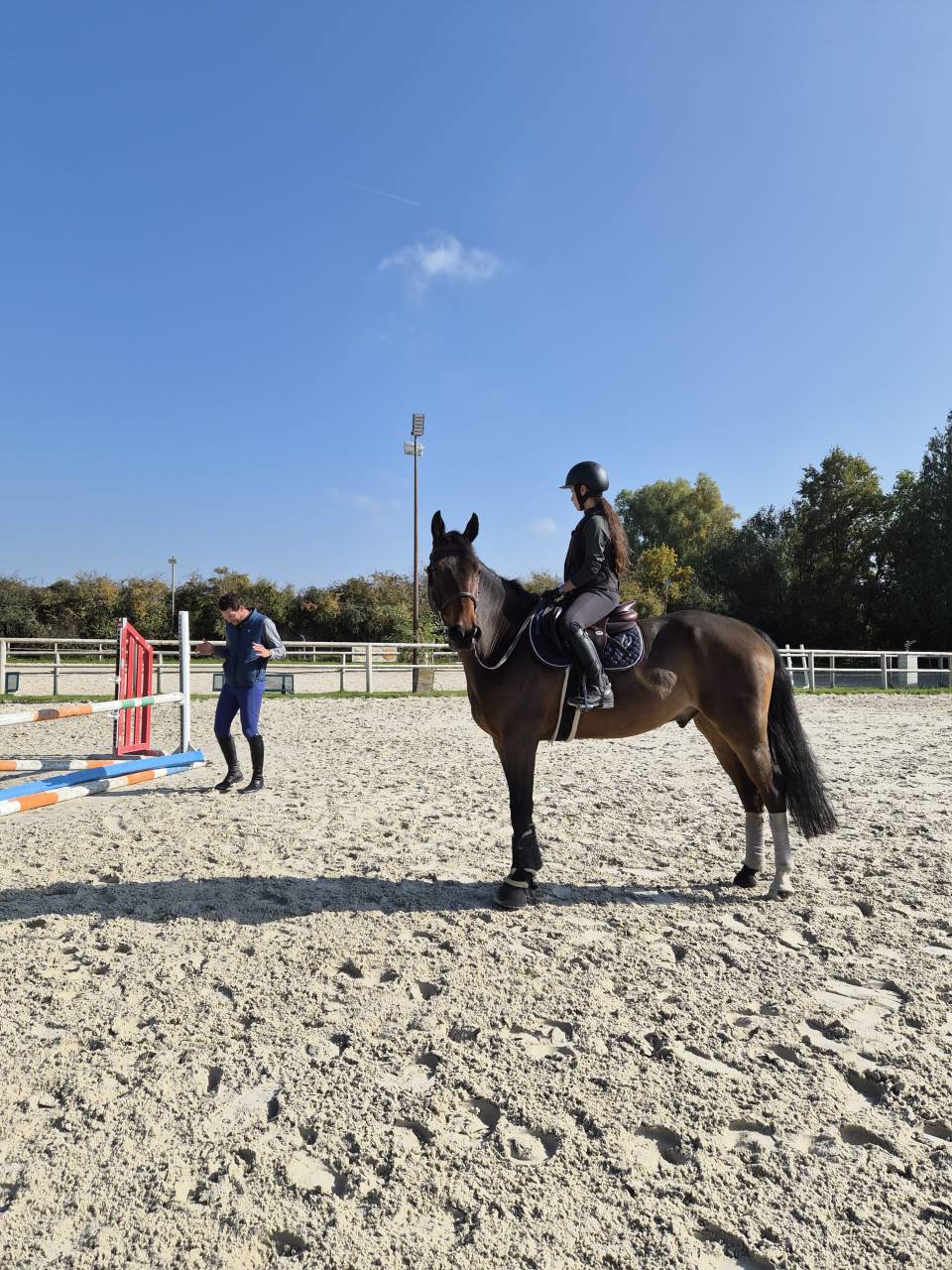 Demi Pension cheval de sport