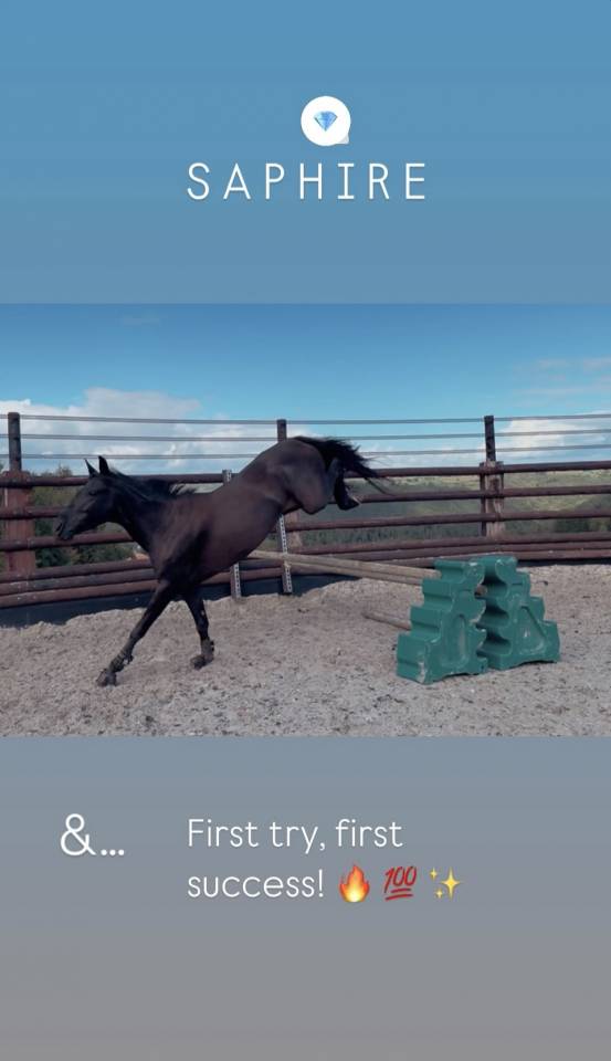 Ponette de sport 148 cm 6 ans ONC