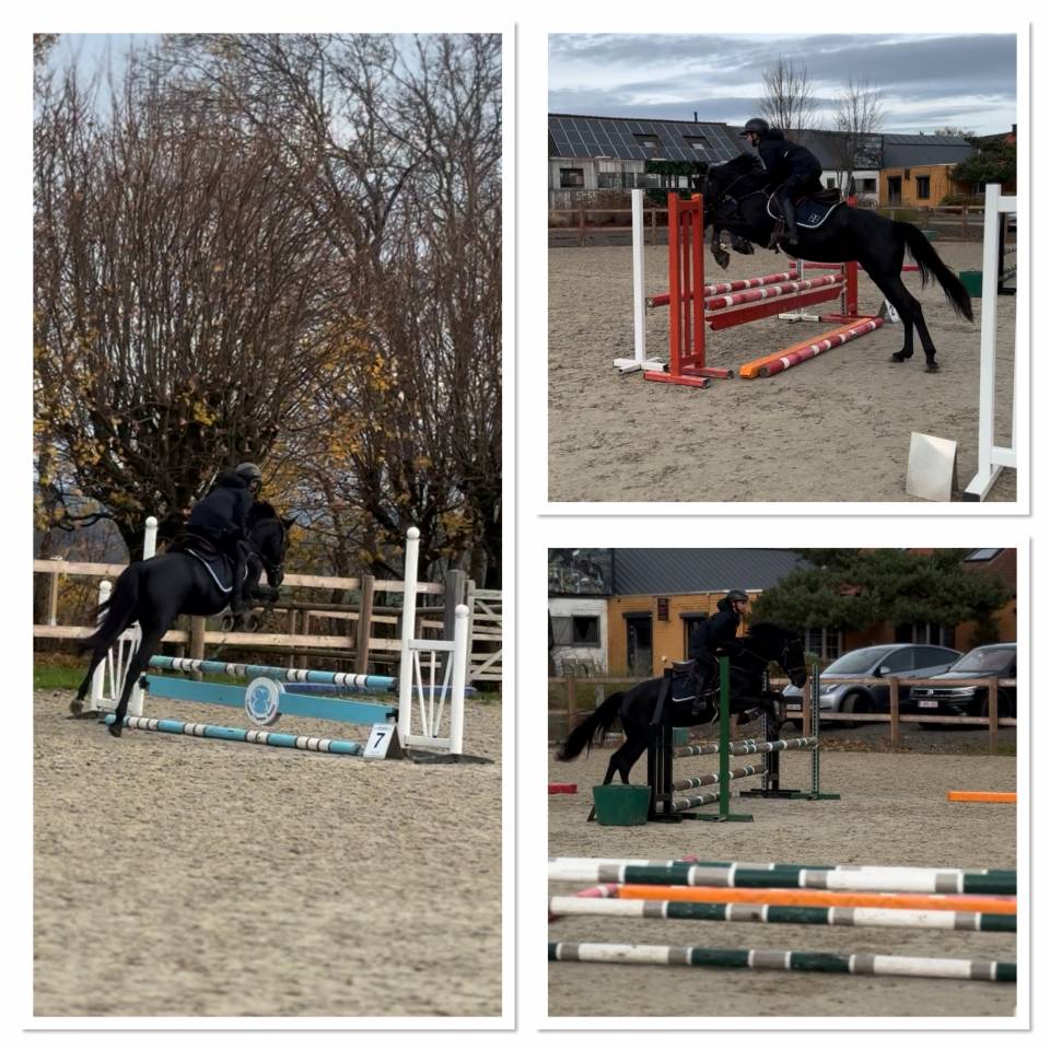 Ponette de sport 148 cm 6 ans ONC