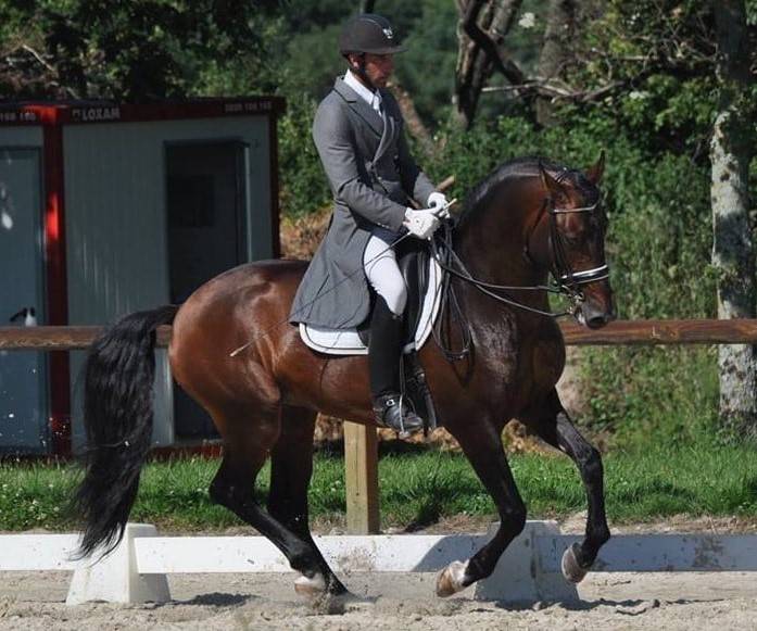 ETALON LUSITANIEN GP dressage